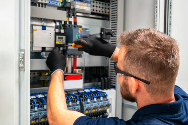 Best Electrical System Inspection  in Rock Rapids, IA
