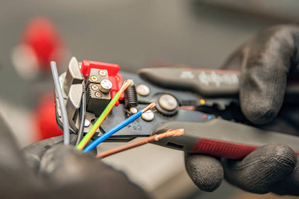 Best Electric Panel Repair  in Rock Rapids, IA